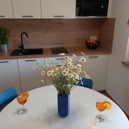 Apartments Ritosa Poreč Extérieur photo